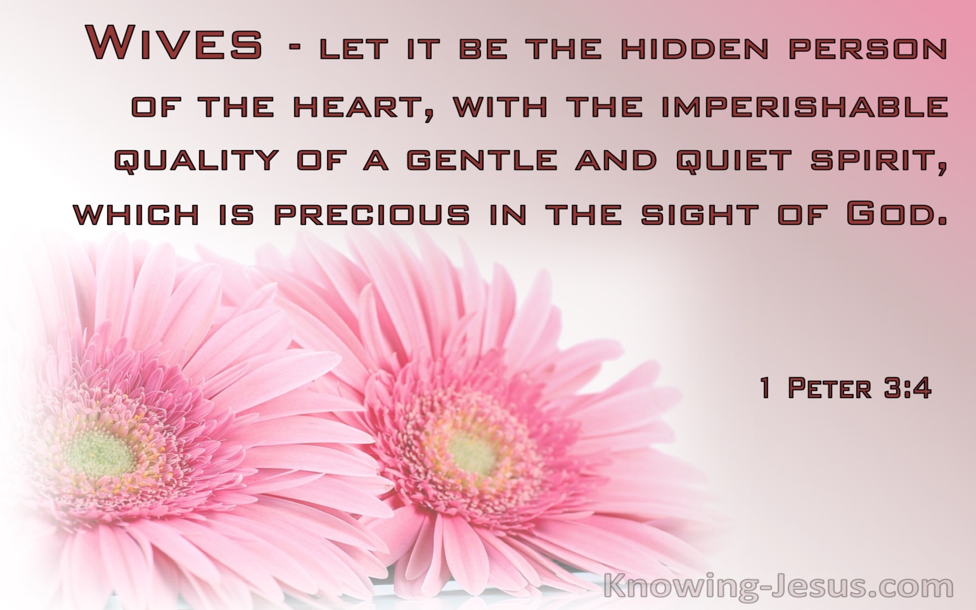 1 Peter 3:4 The Hidden Person Of The Heart (pink) 